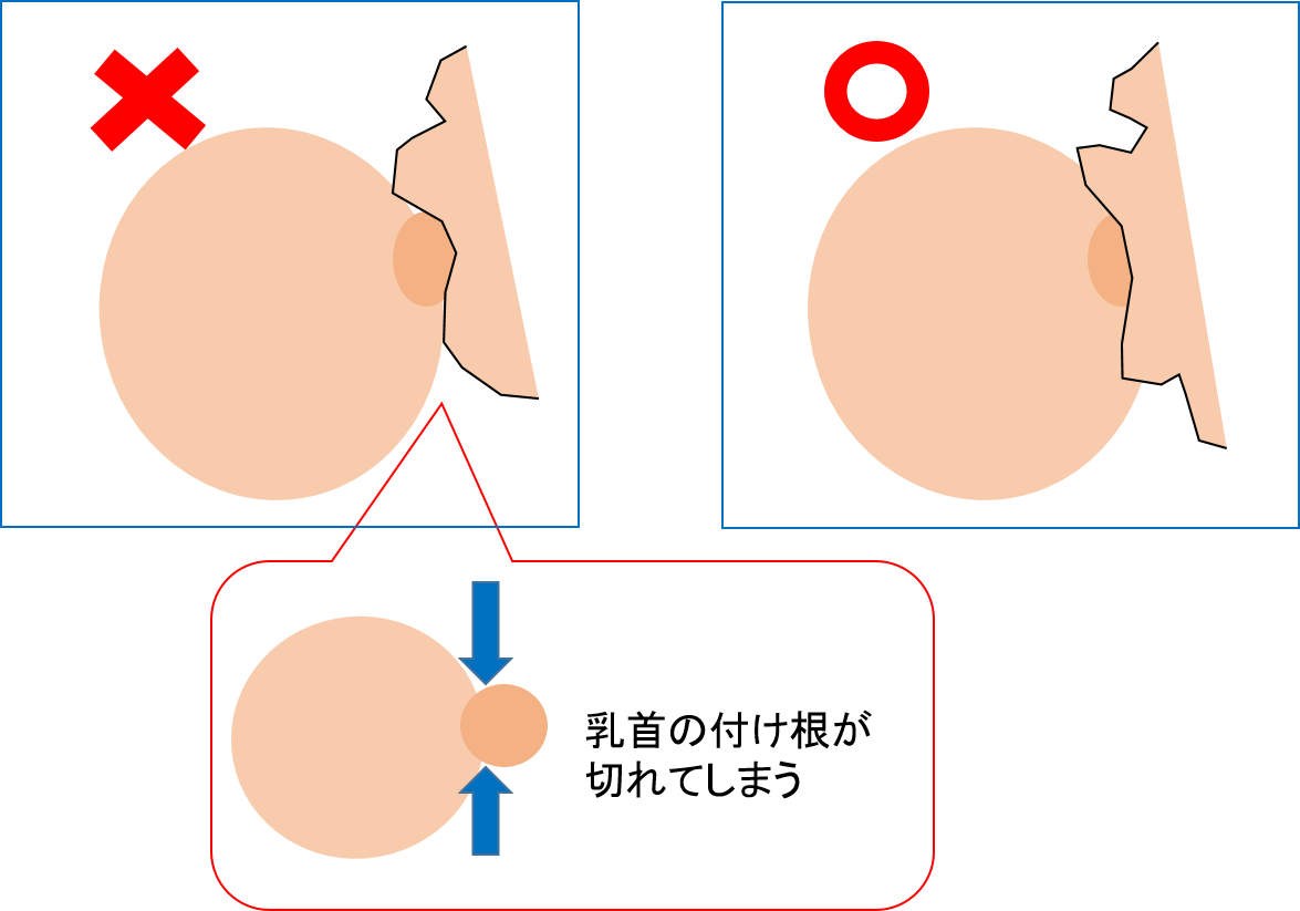 おっぱいの耳寄り情報 No 2 娘と息子の狂想曲